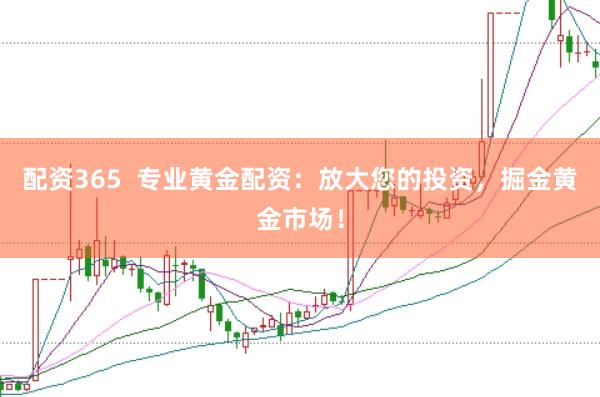 配资365  专业黄金配资：放大您的投资，掘金黄金市场！