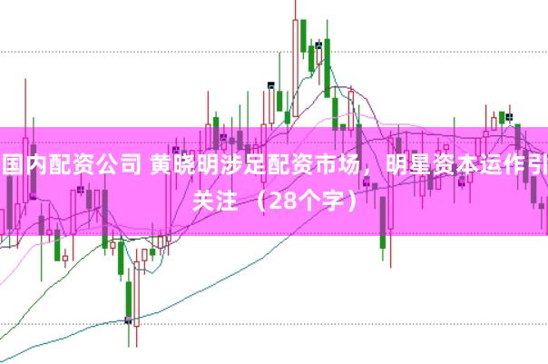 国内配资公司 黄晓明涉足配资市场，明星资本运作引关注 （28个字）