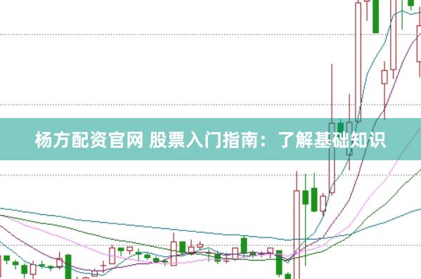 杨方配资官网 股票入门指南：了解基础知识