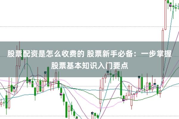 股票配资是怎么收费的 股票新手必备：一步掌握股票基本知识入门要点