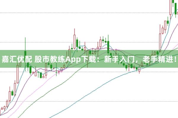 嘉汇优配 股市教练App下载：新手入门，老手精进！