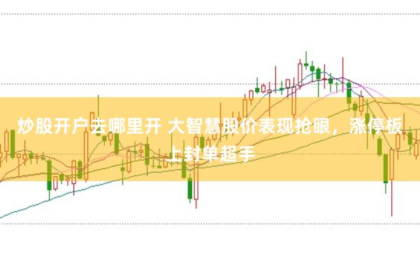 炒股开户去哪里开 大智慧股价表现抢眼，涨停板上封单超手