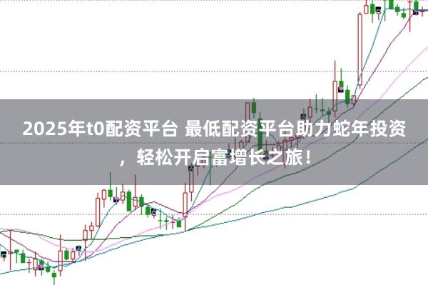 2025年t0配资平台 最低配资平台助力蛇年投资，轻松开启富增长之旅！