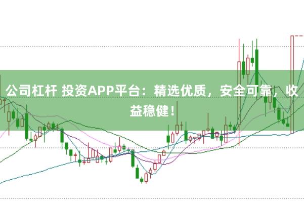 公司杠杆 投资APP平台：精选优质，安全可靠，收益稳健！