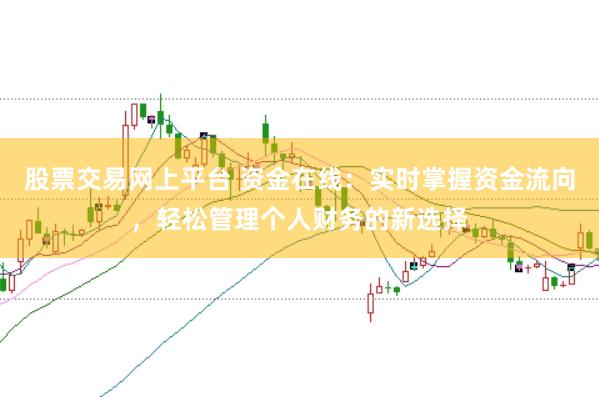 股票交易网上平台 资金在线：实时掌握资金流向，轻松管理个人财务的新选择