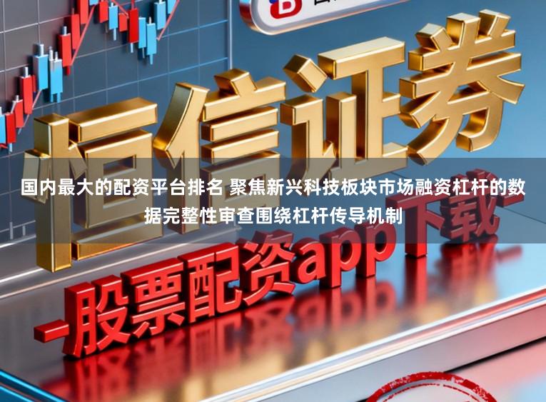 国内最大的配资平台排名 聚焦新兴科技板块市场融资杠杆的数据完整性审查围绕杠杆传导机制